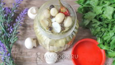 маринованные белые шампиньоны