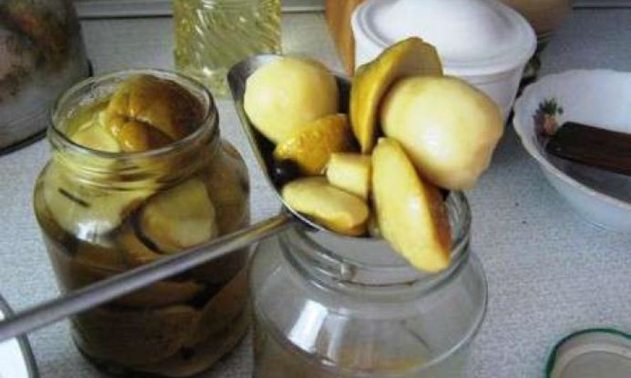 Рецепт маринованных боровиков