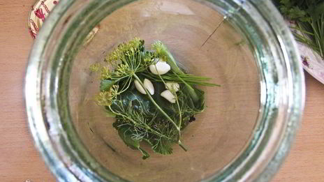 маринованные кабачки на зиму