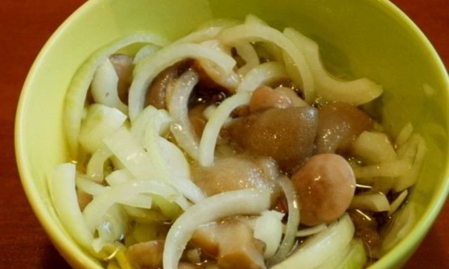 Рецепт маринованных маслят