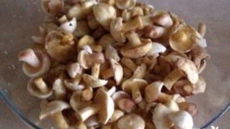 маринованные маслята