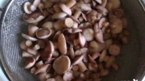 маринованные маслята