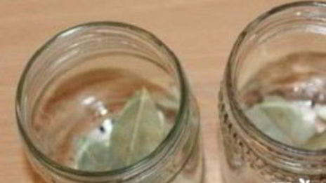 маринованные маслята