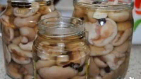 маринованные маслята