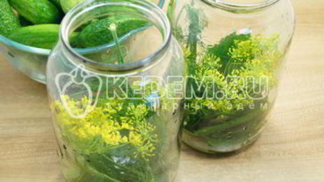 маринованные огурцы на зиму в банках
