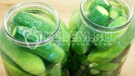 маринованные огурцы на зиму в банках