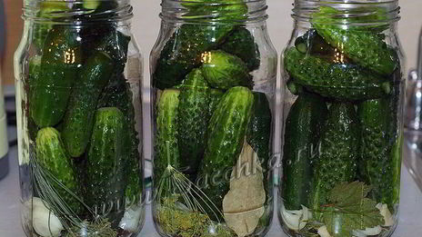 маринованные огурцы