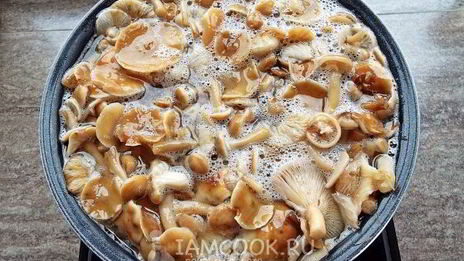 маринованные опята бабушкины