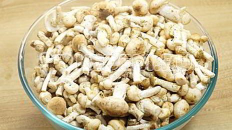 маринованные опята в банках