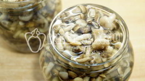 маринованные опята в банках