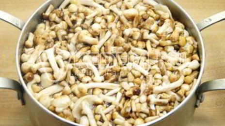 маринованные опята в банках