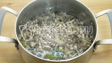 маринованные опята в банках