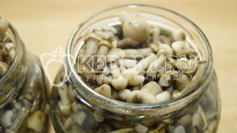маринованные опята в банках