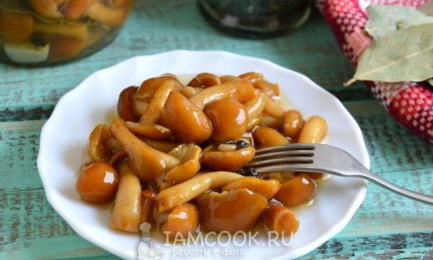Рецепт маринованных опят