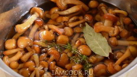 маринованные опята