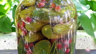 Огурцы маринованные с базиликом и йоштой