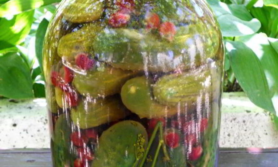 Рецепт огурцов маринованных с базиликом и йоштой