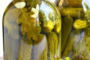 Огурцы маринованные с зернами горчицы и паприкой на зиму