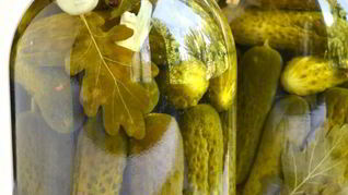 Огурцы маринованные с зернами горчицы и паприкой на зиму