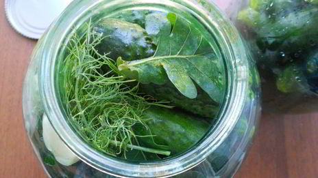 огурцы маринованные с зернами горчицы и паприкой на зиму