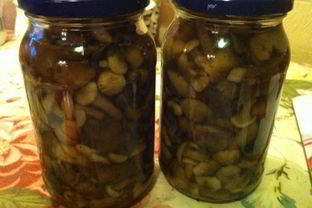 Опята маринованные на зиму