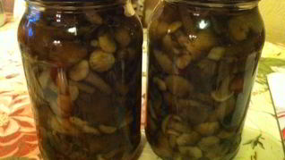 Опята маринованные на зиму