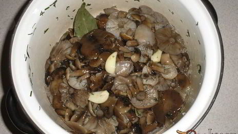 опята маринованные с луком на зиму