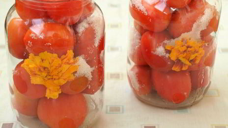 помидоры маринованные с бархатцами