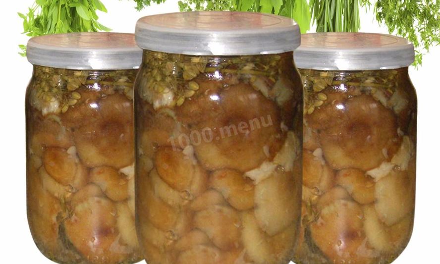 Рецепт волнушек маринованных