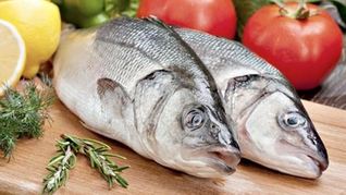 Мокрая засолка рыбы на зиму