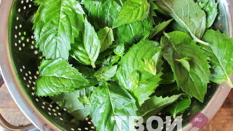 мятный сахар на зиму