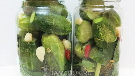 огурцы бочковые на зиму в банках