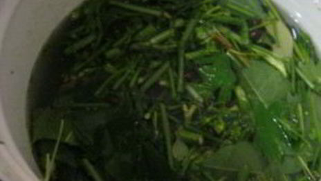 острые огурчики на зиму