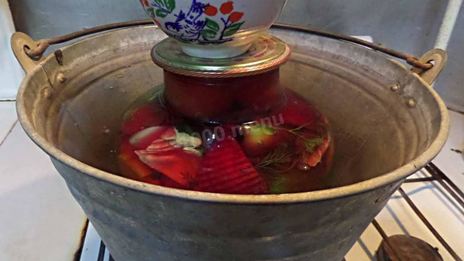 овощное ассорти на зиму