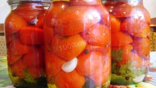 Помидоры на зиму в желе с петрушкой и кинзой
