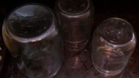 помидоры на зиму в желе