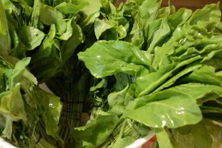 Щавель на зиму в микроволновке