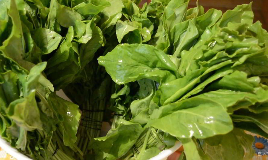 Рецепт щавеля на зиму в микроволновке