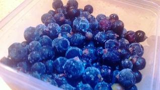 Смородина на зиму