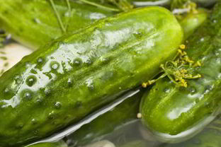 Малосольные огурцы