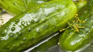 Малосольные огурцы