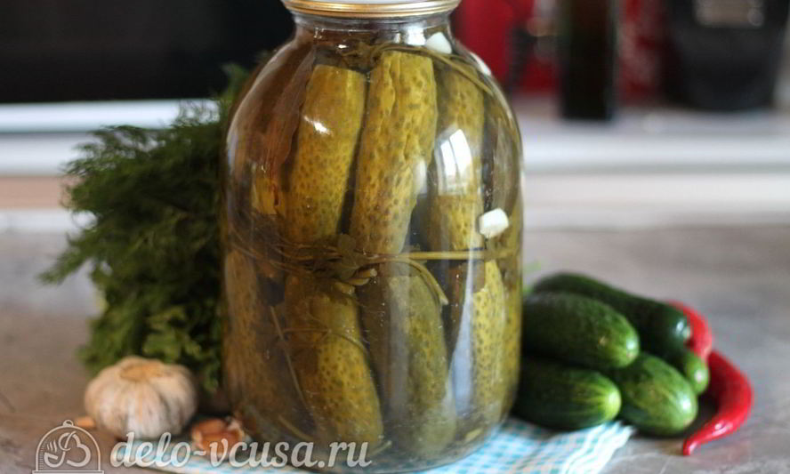 Рецепт соленых огурцов в банке на зиму