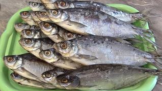 Сухая засолка рыбы на зиму