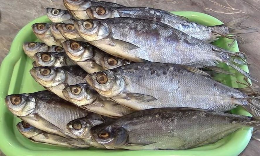 Рецепт сухой засолки рыбы на зиму