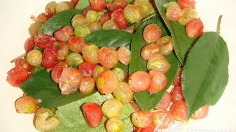 крыжовенное варенье царское