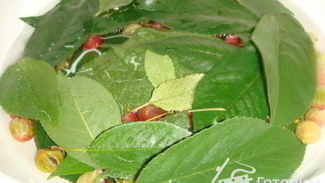 крыжовенное варенье царское