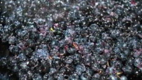 варенье из черники в хлебопечке