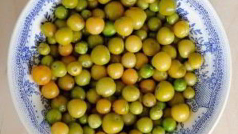 варенье из физалиса земляничного