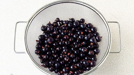 варенье из кабачков и черной смородины