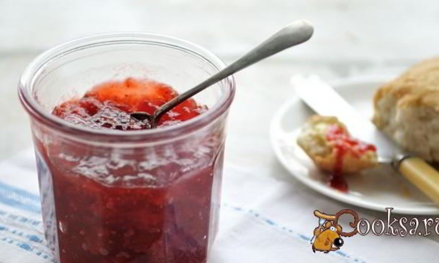 Рецепт варенья из калины без косточек на зиму